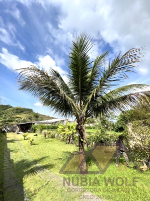 Chácara no bairro Bairro dos Prados, Pós Linha, em Peruíbe